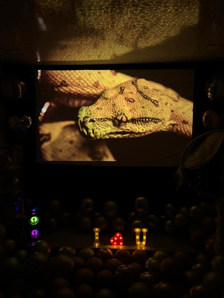 Private Movie screening in navi mumbai